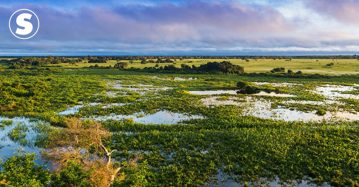 BRASIL – DORMINDO EM BERÇO EXPLÊNDIDO