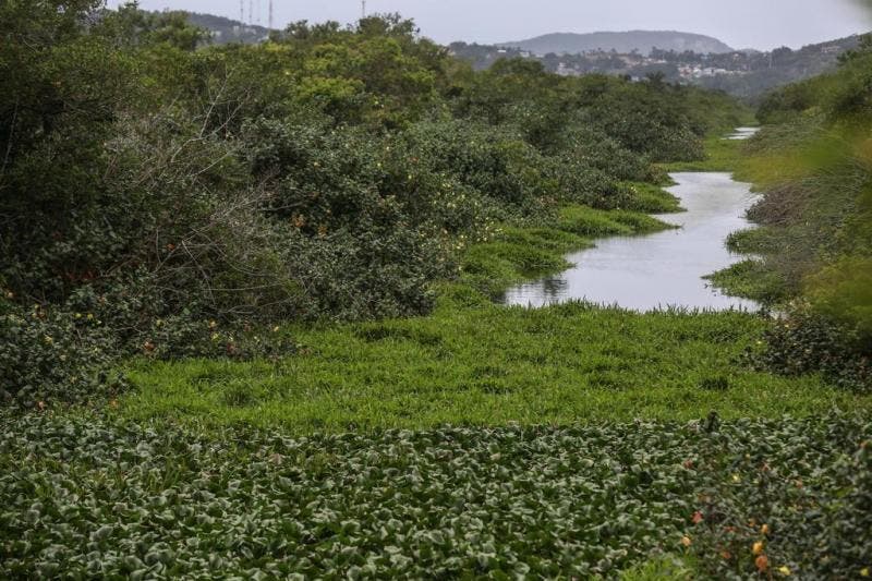 CASAN E OS INDESEJAVEIS PASSIVOS AMBIENTAIS