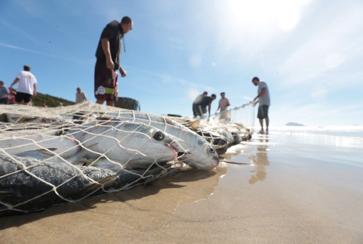 DA PESCA AO PRIMEIRO MILHÃO